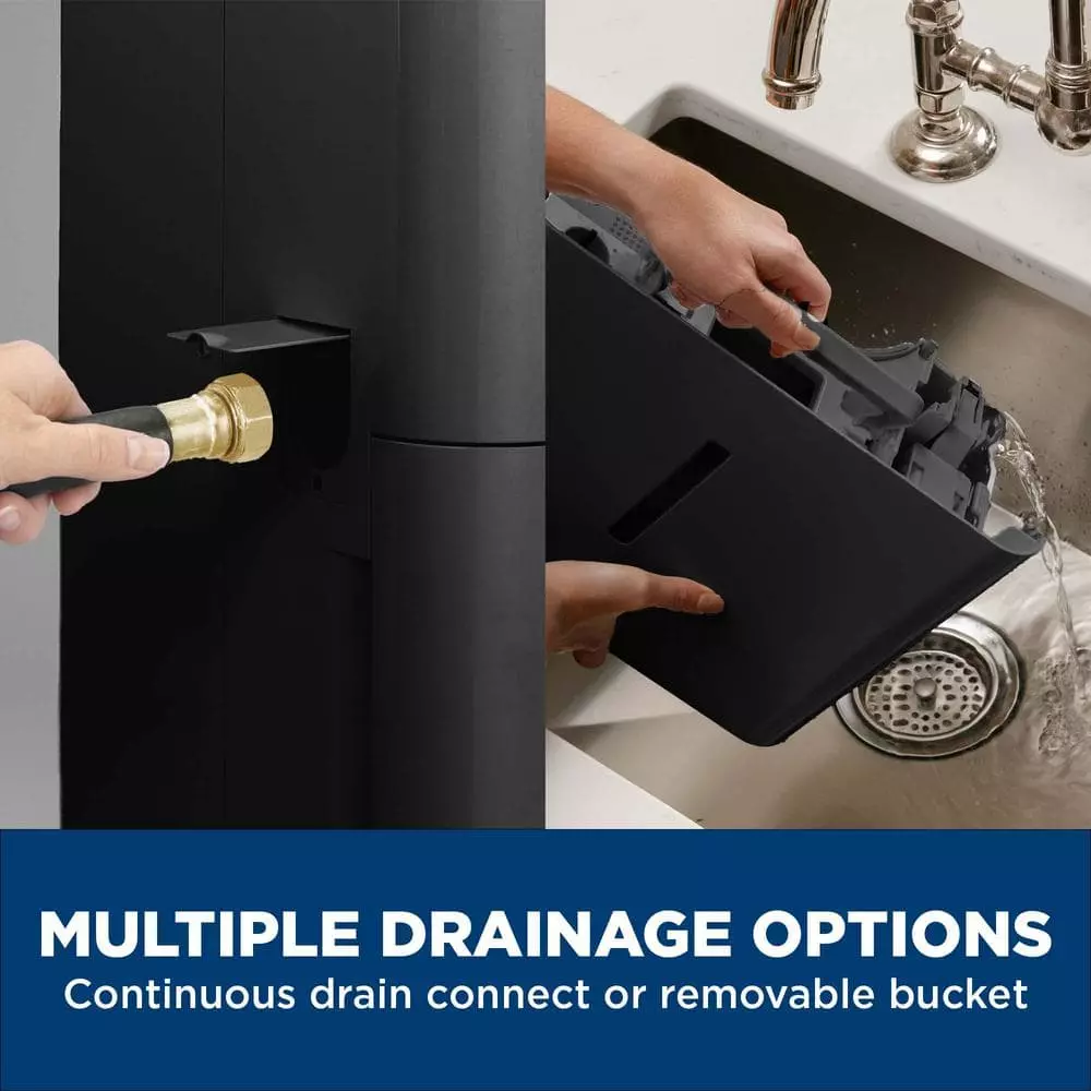 50 pt. Dehumidifier for Basement, Garage or Wet Rooms up to 4500 sq. ft. in Black, Three Fan Speeds, ENERGY STAR 5 50 pt. Dehumidifier for Basement, Garage or Wet Rooms up to 4500 sq. ft. in Black, Three Fan Speeds, ENERGY STAR - Image 3