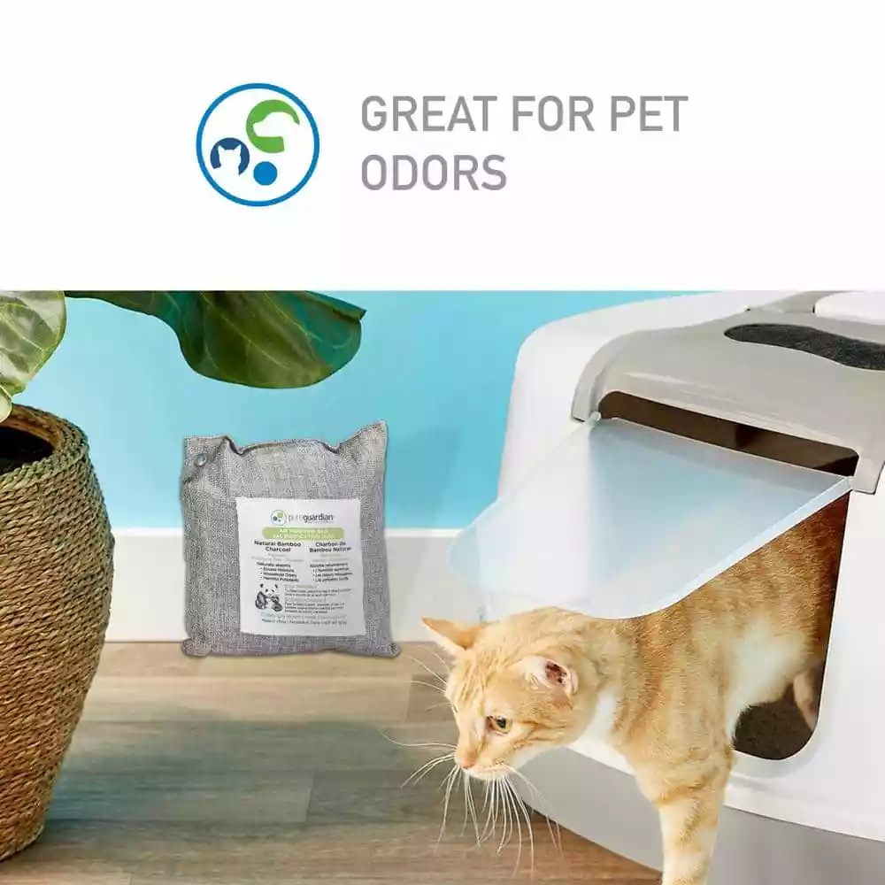 PureGuardian Air Purifying Bamboo Charcoal Bag, 17.6 oz (2-Pack) 4 PureGuardian Air Purifying Bamboo Charcoal Bag, 17.6 oz (2-Pack) - Image 2