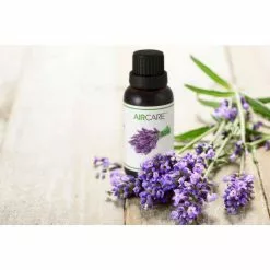 AIRCARE Lavender Essential Oil 10 AIRCARE Lavender Essential Oil -Air Quality Shop clear aircare humidifier accessories eolav30 4f 1000