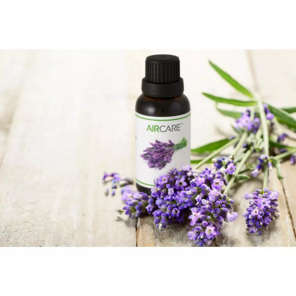 AIRCARE Lavender Essential Oil 6 AIRCARE Lavender Essential Oil - Image 5