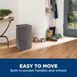 50 pt. Dehumidifier with Built-in Pump for Basement, Garage or Wet Rooms up to 4500 sq. ft. in Grey, ENERGY STAR 14 50 pt. Dehumidifier with Built-in Pump for Basement, Garage or Wet Rooms up to 4500 sq. ft. in Grey, ENERGY STAR -Air Quality Shop grays ge dehumidifiers apel50lz 1d 1000