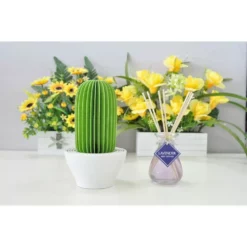 Unbranded 129 sq.ft. Nanum Cactus Non-Electric Personal Humidifier in Light Green -Air Quality Shop greens humidifiers c101 gre 1f 1000