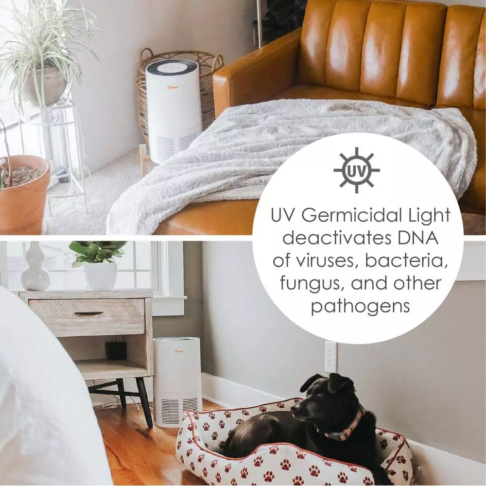 Crane True HEPA Air Purifier with Germicidal UV Light for Small to Medium Rooms up to 300 sq.ft. - Premium 7 Crane True HEPA Air Purifier with Germicidal UV Light for Small to Medium Rooms up to 300 sq.ft. - Premium - Image 5