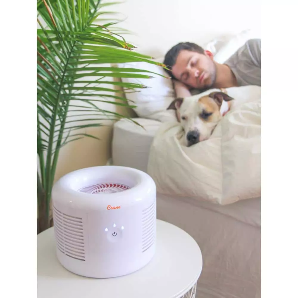 Crane HEPA Air Purifier with 3 Speed Settings for Small to Medium Rooms up to 300 sq.ft. 9 Crane HEPA Air Purifier with 3 Speed Settings for Small to Medium Rooms up to 300 sq.ft. - Image 7