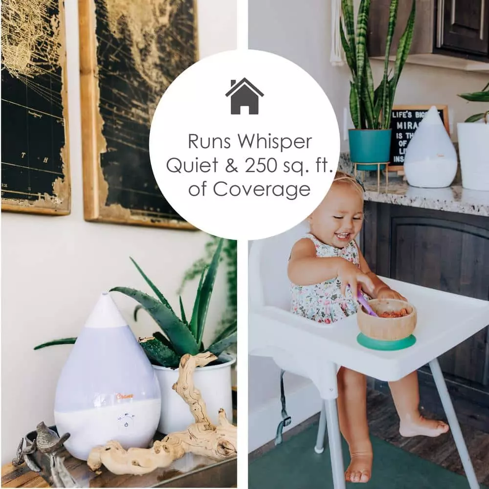 Crane 0.5 Gal. Droplet Ultrasonic Cool Mist Humidifier for Small to Medium Rooms up to 250 sq. ft. -White 7 Crane 0.5 Gal. Droplet Ultrasonic Cool Mist Humidifier for Small to Medium Rooms up to 250 sq. ft. -White - Image 5