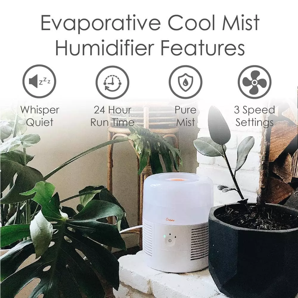 Crane 1 Gal. Evaporative Cool Mist Humidifier with 3 Speeds for Medium to Large Rooms up to 500 sq. ft. 5 Crane 1 Gal. Evaporative Cool Mist Humidifier with 3 Speeds for Medium to Large Rooms up to 500 sq. ft. - Image 3