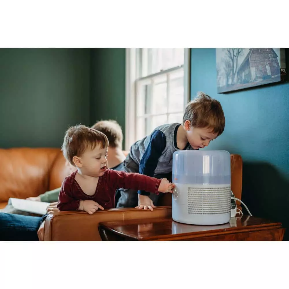 Crane 1 Gal. Evaporative Cool Mist Humidifier with 3 Speeds for Medium to Large Rooms up to 500 sq. ft. 8 Crane 1 Gal. Evaporative Cool Mist Humidifier with 3 Speeds for Medium to Large Rooms up to 500 sq. ft. - Image 6