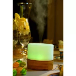 SPT 100mL Ultrasonic Aroma Diffuser/Humidifier with Bamboo Base